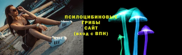 герыч Алексин