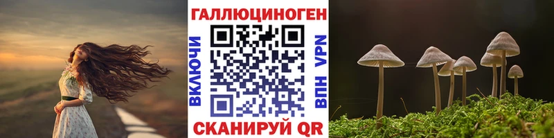 Галлюциногенные грибы прущие грибы цены Тверь